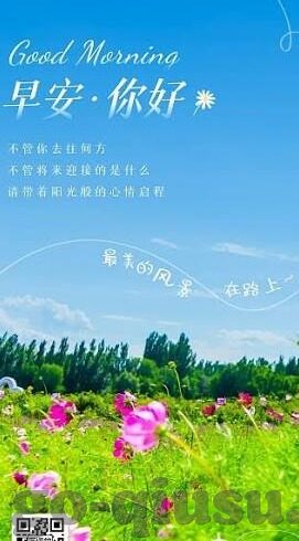 世界杯庞特普雷-世界杯庞特普雷，足球盛宴中的璀璨明珠
